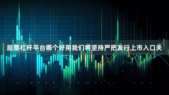 股票杠杆平台哪个好用我们将坚持严把发行上市入口关