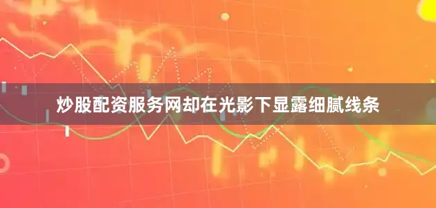 炒股配资服务网却在光影下显露细腻线条