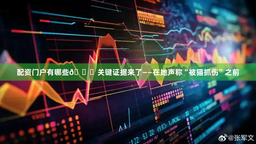 配资门户有哪些📌关键证据来了——在她声称“被猫抓伤”之前