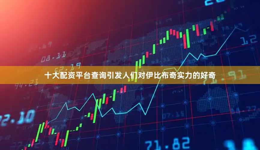 十大配资平台查询引发人们对伊比布奇实力的好奇